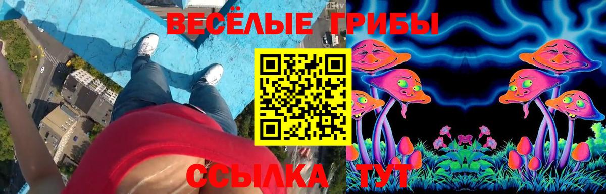 Галлюциногенные грибы Cubensis  Вход с VPN  Галлюциногенные грибы мухоморы  Зима 